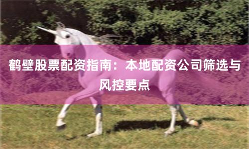 鹤壁股票配资指南：本地配资公司筛选与风控要点